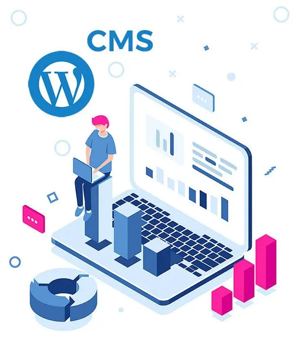 CMS WordPress Services