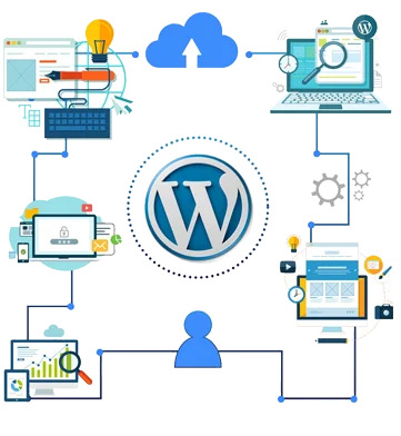 CMS WordPress company